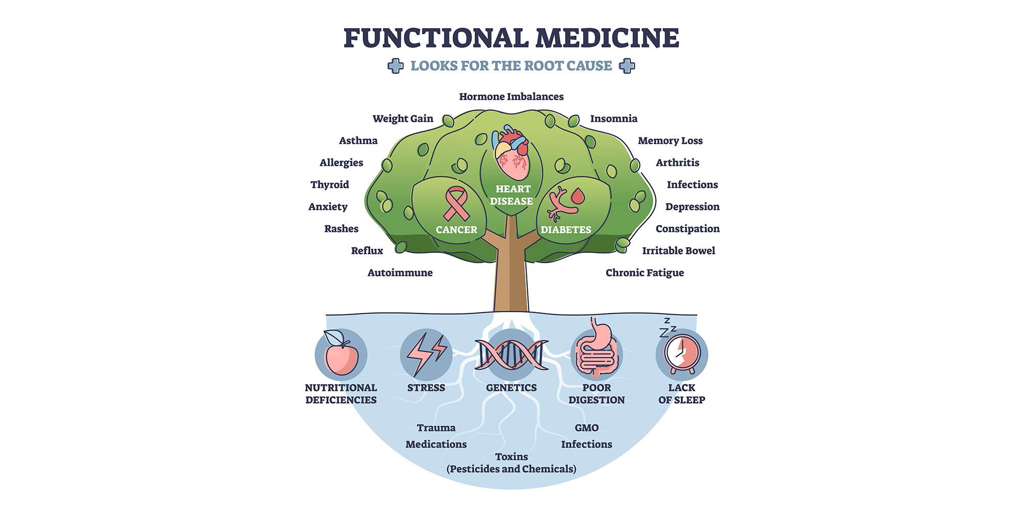 Functional Medicine chart, Panacea Biomedical Institute